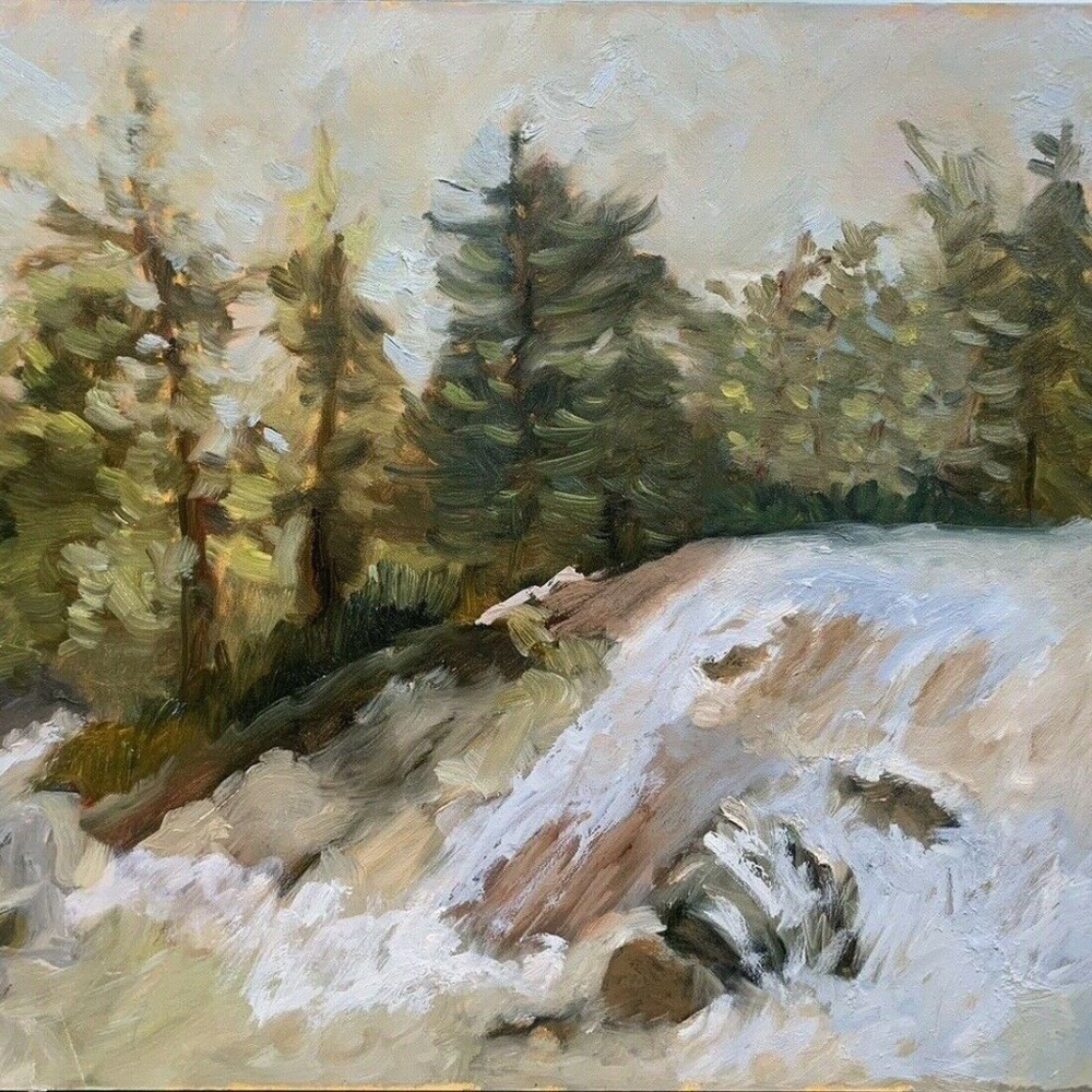 Oil Painting - Evergreen. Landscape